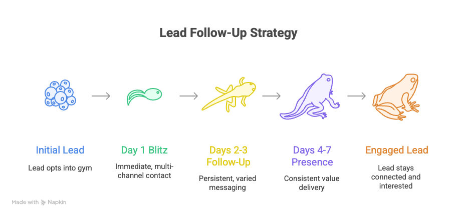 Lead Follow-Up Strategy
